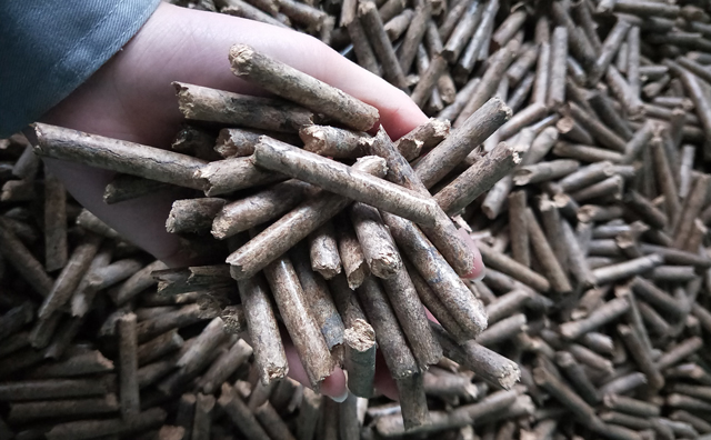 鋸末顆粒機(jī)顆粒，一種快速增長的能源載體