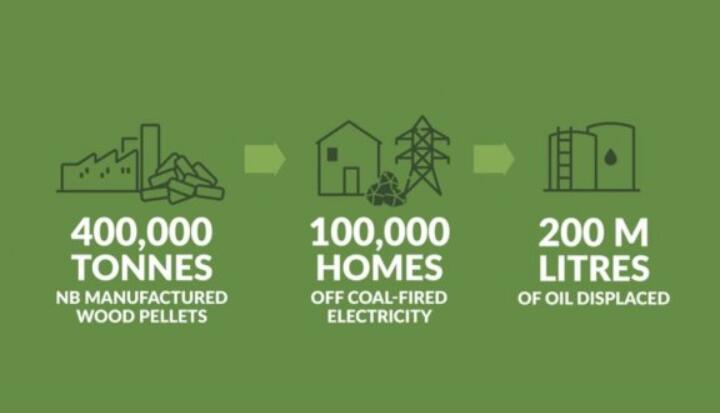 全球48%的木屑顆粒消費(fèi)來自住宅和商業(yè)建筑。從2020年到2021年，歐洲家庭生物質(zhì)消費(fèi)量增長了18%，商業(yè)應(yīng)用增長了12.5%。