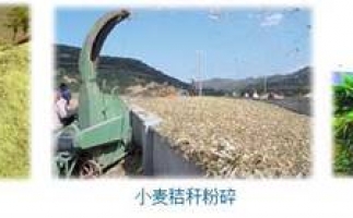 農(nóng)民科學(xué)發(fā)展新思路，秸稈綜合利用成為賺錢好門路之秸稈顆粒機