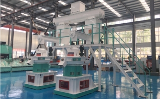 木屑顆粒機(jī)多少錢一臺(tái)?建顆粒廠大約多少錢？